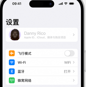 芒市appleID维修服务iPhone设置中Apple ID显示为灰色无法使用 