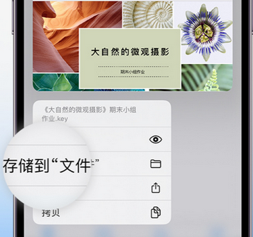 芒市apple维修中心分享iPhone文件应用中存储和找到下载文件