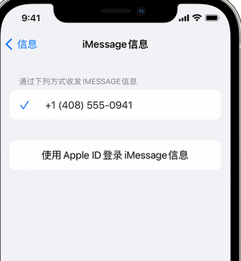 芒市apple维修iPhone上无法正常发送iMessage信息 