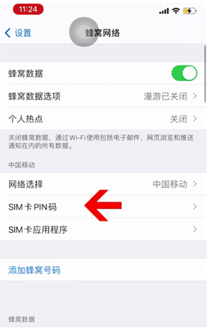 芒市苹果14维修网分享如何给iPhone14的SIM卡设置密码 