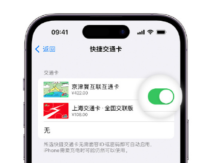 芒市apple维修点分享iPhone上更换Apple Pay快捷交通卡手绘卡面 