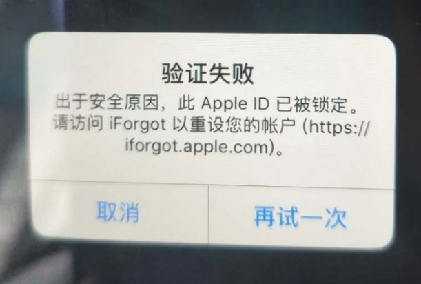 芒市iPhone维修分享iPhone上正常登录或使用AppleID怎么办 