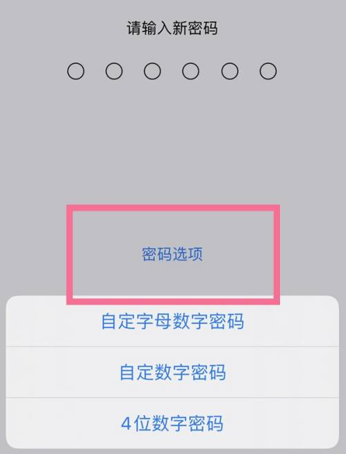 芒市苹果14维修分享iPhone 14plus设置密码的方法 