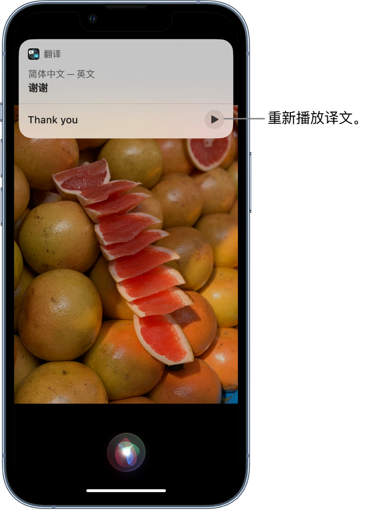 芒市苹果14维修分享 iPhone 14 机型中使用 Siri：了解 Siri 能帮你做什么 