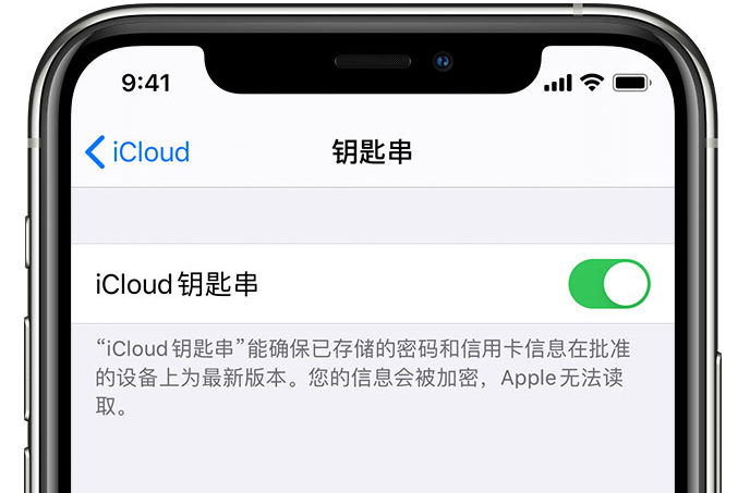 芒市苹果手机维修分享在 iPhone 上开启 iCloud 钥匙串之后会储存哪些信息 