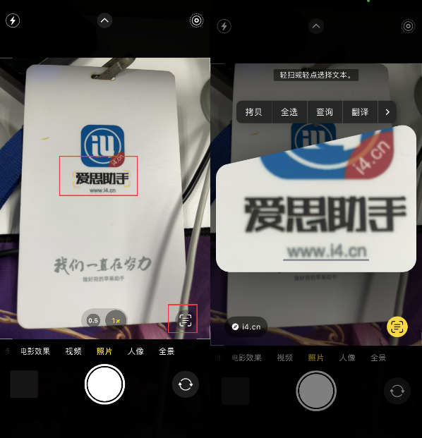 芒市苹果手机维修分享升级iOS 16后如何通过相机翻译文本 