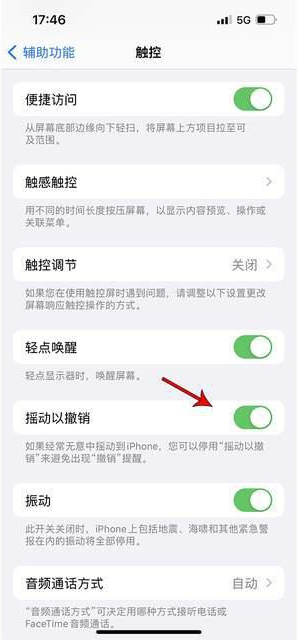 芒市苹果手机维修分享iPhone手机如何设置摇一摇删除文字 