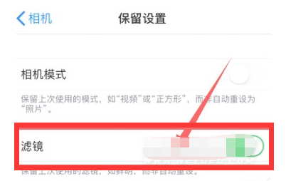 芒市苹果13维修分享iPhone13拍照有绿点是怎么回事 