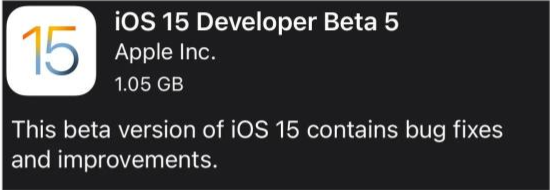 芒市苹果手机维修分享如何升级到iOS15.0 beta5 