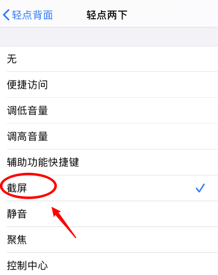 芒市苹果手机维修分享iPhone12如何启用双击截屏 