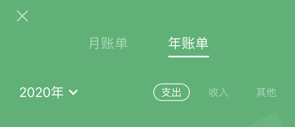 芒市苹果手机维修分享如何在 iPhone 上查看支付宝和微信年支出账单 