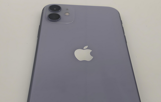 芒市苹果11系统维修分享iPhone11手机系统崩溃无法开机如何解决